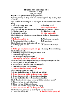 Đề thi học kì 1 Giáo dục công dân lớp 7 | Đề 5 | Kết nối tri thức