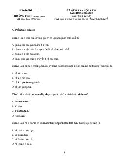 Đề thi học kì 2 môn Sinh học 10 Kết nối tri thức năm 2023