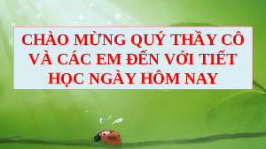 Giáo án điện tử Ngữ văn 6 Chân trời sáng tạo Bài 4 - Đọc: Giọt sương đêm
