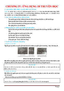 Lý thuyết và bài tập chương IV Ứng dụng di truyền học môn sinh học 12 ( có đáp án)