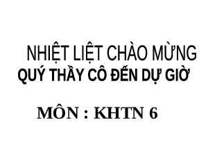 Giáo án điện tử Khoa học tự nhiên 6 bài 41 Kết nối tri thức : Biểu diễn lực