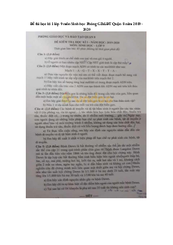 Đề thi học kì 1 lớp 9 môn Sinh học Phòng GD&ĐT Quận 8 năm 2019 - 2020