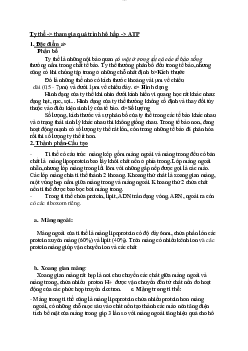 Đề cương ôn tập tự luận môn Sinh học thực vật