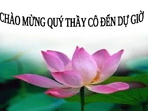 Giáo án điện tử Địa lí 10 Bài 16 Cánh diều: Dân số và gia tăng dân số. Cơ cấu dân số