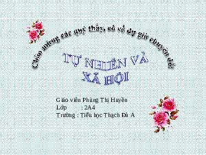 Giáo án điện tử Tự nhiên và xã hội 2 Bài 20 Cánh diều: Một số hiện tượng thiên tai