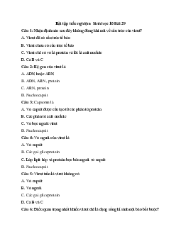 Trắc nghiệm Sinh học 10 bài 29: Cấu trúc các loại virut | Kết nối tri thức