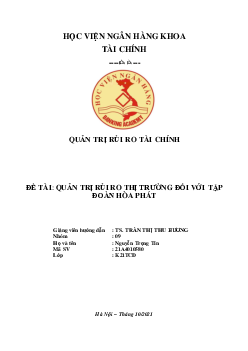 Quản trị rủi ro thị trường đối với tập đoàn Hòa Phát | Báo cáo môn Quản trị rủi ro tài chính