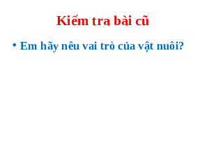 Giáo án điện tử Công nghệ 7 Bài 9 Kết nối tri thức: Giới thiệu về chăn nuôi