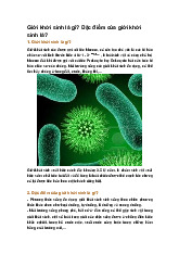 Giới khởi sinh là gì? Đặc điểm của giới khởi sinh là?