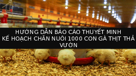 Giáo án điện tử Công nghệ 7 Dự án 2 Chân trời sáng tạo: Kế hoạch nuôi dưỡng, chăm sóc vật nuôi trong gia đình