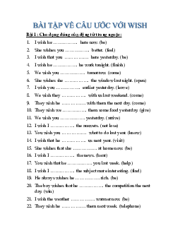 Bài tập về câu điều ước với Wish học phần Tiếng anh cơ bản