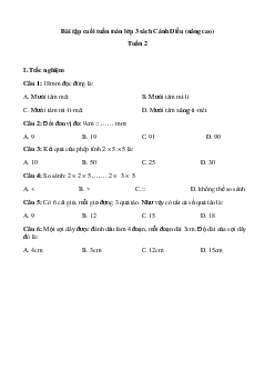 Phiếu bài tập cuối tuần lớp 3 môn Toán - Tuần 2 (nâng cao) | Cánh Diều