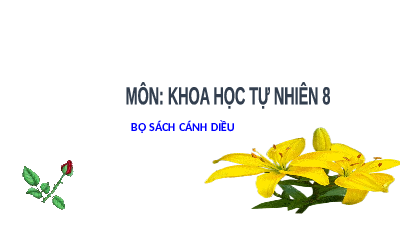 Giáo án điện tử Khoa học tự nhiên 8 Bài 32 Cánh diều: Hệ hô hấp ở người