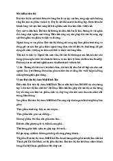 Đại siêu thị và Siêu thị: So sánh Chi tiết về Hai Mô hình Bán lẻ