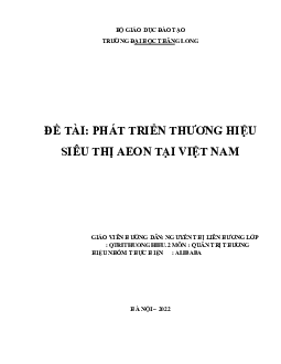 Tiểu luận " Phát triển thương hiệu Aeon Việt Nam" | Đại học Thăng Long