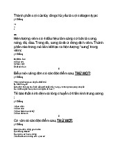 Câu hỏi trắc nghiệm mô phôi | Đại học Y khoa Phạm Ngọc Thạch