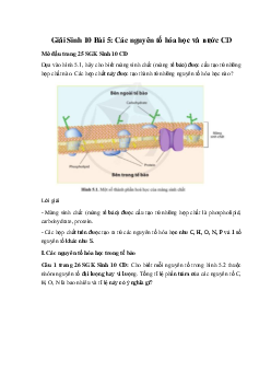 Giải Sinh 10 Bài 5: Các nguyên tố hóa học và nước | Cánh diều