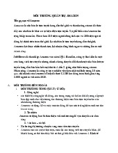 Môi trường bên ngoài Amazon - Môn quản trị học - Đại Học Kinh Tế - Đại học Đà Nẵng