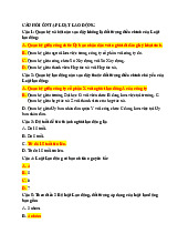 Câu hỏi ôn tập Luật lao động tổng hợp có đáp án | Đại học Nội Vụ Hà Nội