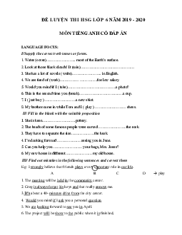 Đề ôn thi học sinh giỏi lớp 6 môn Tiếng Anh năm học 2019 - 2020 số 5