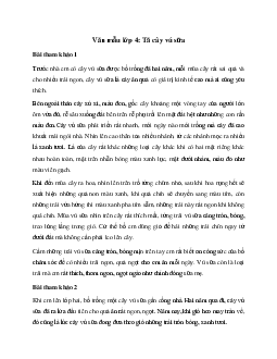 Tả cây vú sữa | Tập làm văn lớp 4