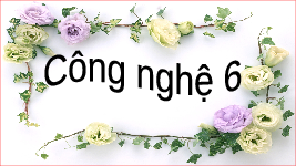 Giáo án điện tử Công nghệ 6 Bài 4 Chân trời sáng tạo: Thực phẩm và dinh dưỡng