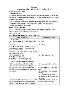 Giáo án Khoa học lớp 4 Bài 17 | Kết nối tri thức
