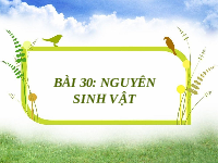 Giáo án điện tử Khoa học tự nhiên 6 bài 30 Kết nối tri thức : Nguyên sinh vật