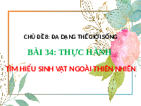 Giáo án điện tử Khoa học tự nhiên 6 bài 34 Chân trời sáng tạo : Thực hành tìm hiểu sinh vật ngoài thiên nhiên