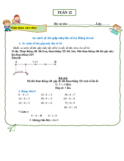 Bài tập cuối tuần lớp 3 môn Toán Cánh Diều - Tuần 12