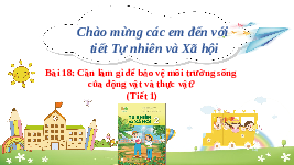 Giáo án điện tử Tự nhiên và Xã hội 2 Bài 18 Kết nối tri thức: Cần làm gì để bảo vệ môi trường sống của thực vật và động vật?