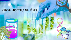 Giáo án điện tử Khoa học tự nhiên 7 bài 23 Kết nối tri thức : Một số yếu tố ảnh hưởng đến quang hợp