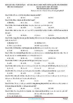 Đề thi THPTQG năm 2020 môn sinh Bộ GD và ĐT (có đáp án và lời giải chi tiết)