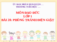 Giáo án điện tử Đạo đức 1 bài 28 Vì sự bình đẳng:Phòng tránh điện giật