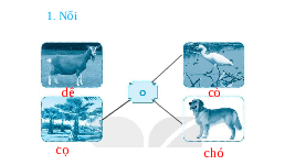 Giáo án điện tử Tiếng việt 1 bài 7 Cánh diều: Học vần: Ô, ô
