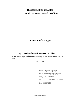 Tiểu luận học phần Ô nhiễm môi trường: Hiện trạng ô nhiễm môi trường không khí tại một số ô thị lớn của Việt Nam | Trường Đại học Khoa học, Đại học Thái Nguyên
