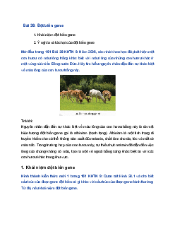 Giải Khoa học tự nhiên 9 Chân trời sáng tạo Bài 38: Đột biến gene