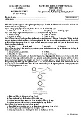 Đề thi thử tốt nghiệp THPT 2025 môn Sinh học Sở GD&ĐT Cà Mau
