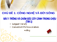 Giáo án điện tử Công Nghệ  4 KNTT -  Kết Nối Tri Thức:  trồng và Chăm sóc cây cảnh trong chậu.