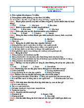 Đề Thi Giữa Kỳ 1 Tin 8 Kết Nối Tri Thức 2025-2026 Có Đáp Án Ma Trận Đặc Tả