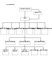 Giáo trình Cơ cấu tổ chức của công ty Nike | Đại học Kinh tế và Quản trị kinh doanh, Đại học Thái Nguyên