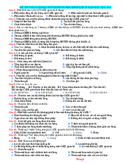 Đề ôn tập học kỳ 2 Tin 12 năm học 2022-2023