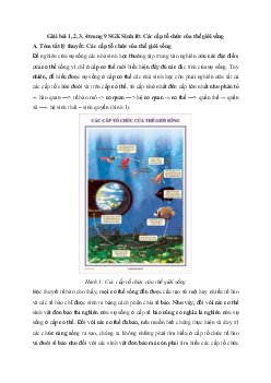 Giải bài tập trang 9 SGK Sinh học lớp 10: Các cấp tổ chức của thế giới sống