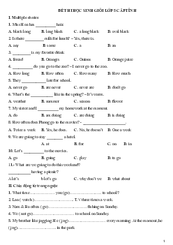Đề thi HSG cấp tỉnh môn Tiếng Anh lớp 5