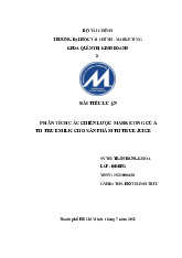 Bài tiểu luận Tran Dang Khoa Môn Thực hành nghề nghiệp 1 | Trường Đại học Tài chính - Marketing