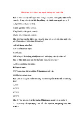 Đề thi học kỳ 1 môn Khoa học tự nhiên lớp 6 năm học 2024 - 2025 - Đề số 2 | Bộ sách Cánh diều