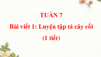 Bài giảng điện tử môn Tiếng viết 4 | Viết: Luyện tập tả cây cối (trang 52, 53) | Cánh diều