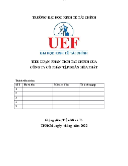 Phân tích tài chính của Công ty cổ phần tập đoàn Hòa Phát | Tiểu luận môn Tài chính doanh nghiệp | UEF
