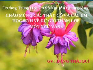 Giáo án điện tử Ngữ văn 6 Chân trời sáng tạo Bài 3 - Viết: Viết đoạn văn ghi lại cảm xúc về một bài thơ lục bát