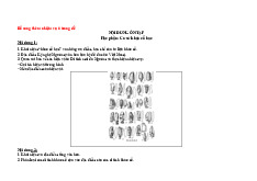 Đề cương Môn Cơ sở khảo cổ học | Đại học Sư phạm Hà Nội 2